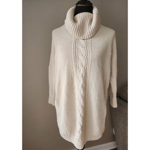 Express Turtle Neck Sweater